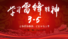 公司黨總支組織開展“弘揚雷鋒精神，優(yōu)化環(huán)境衛(wèi)生”主題黨日活動